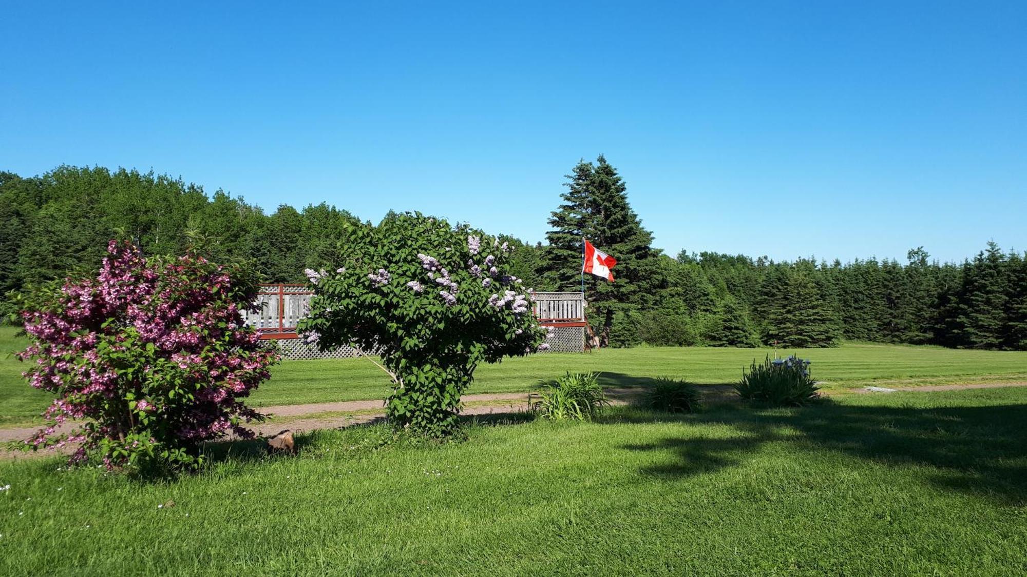 Rustico Acres Cottages نورث روستيكو المظهر الخارجي الصورة